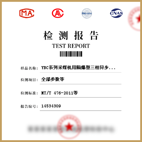 YBC系列采煤機(jī)用隔爆型三相異步電動(dòng)機(jī)檢測