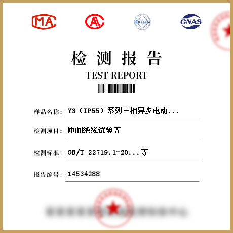 Y3（IP55）系列三相異步電動(dòng)機(jī)檢測(cè)